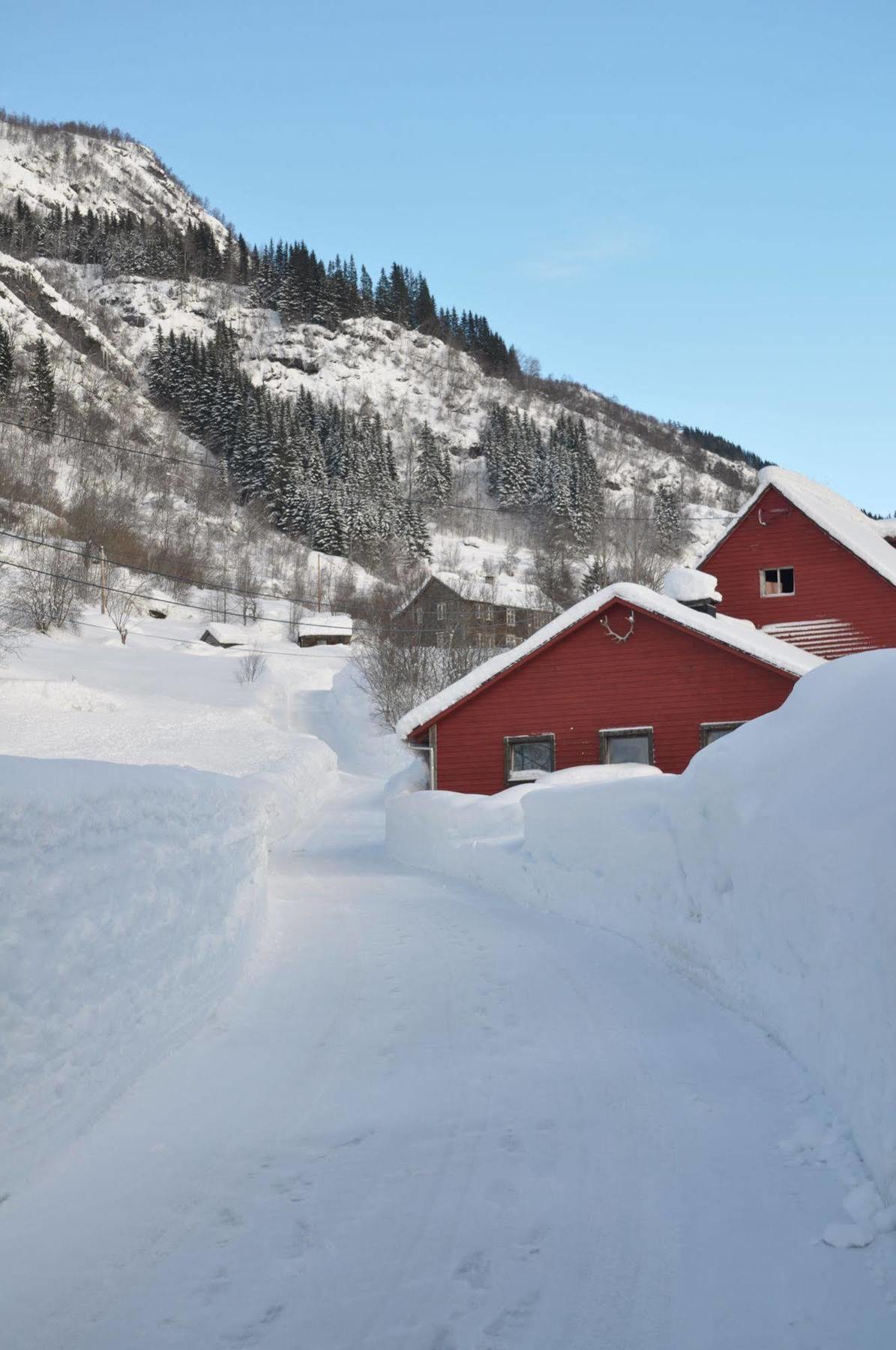 Vinje Turisthotel Myrkdalen Exterior photo